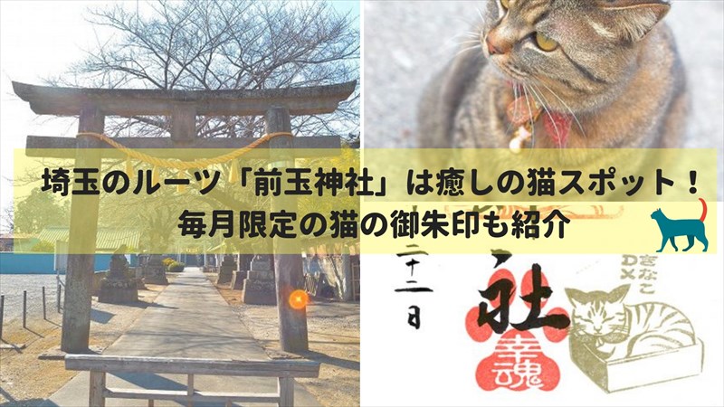 埼玉のルーツ「前玉神社」は癒しの猫スポット！毎月限定の猫の御朱印も紹介